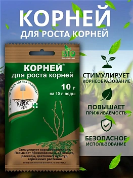 Корней