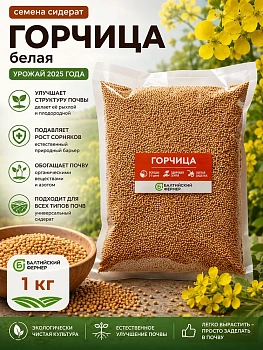 Семена горчицы
